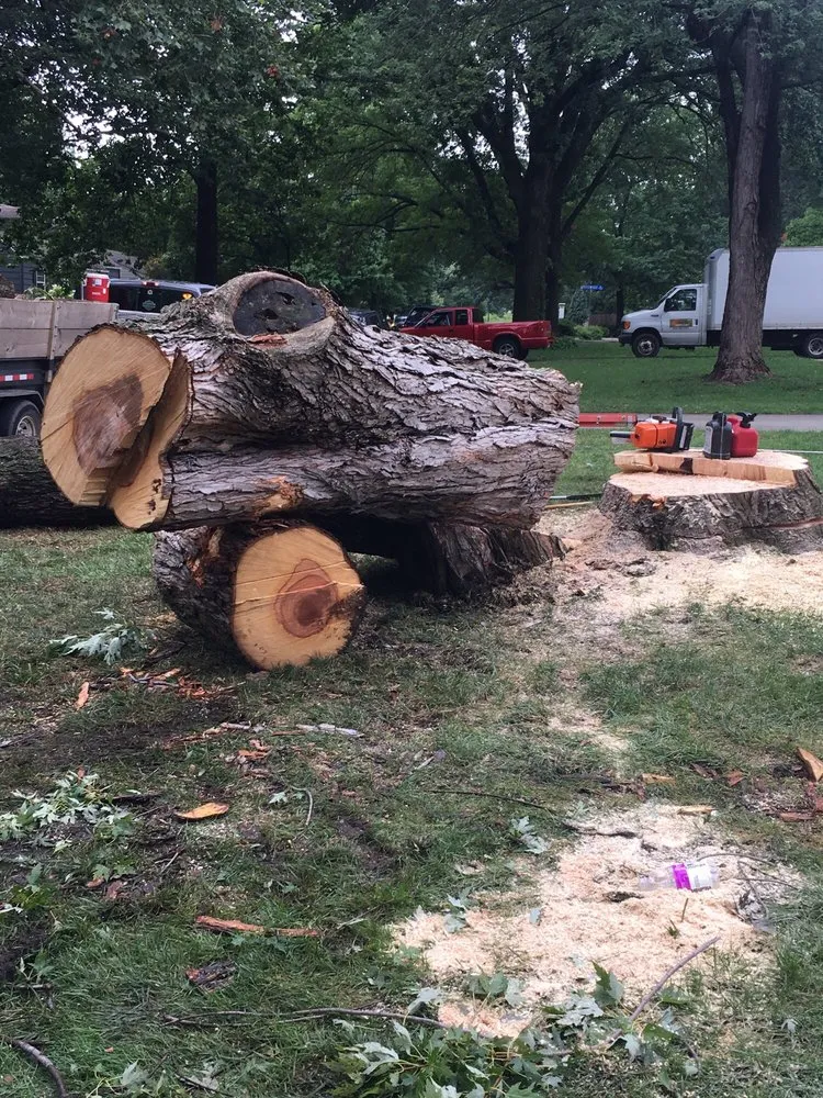 Local landscaping services in Grandview, MO by Local Tree & Landscape