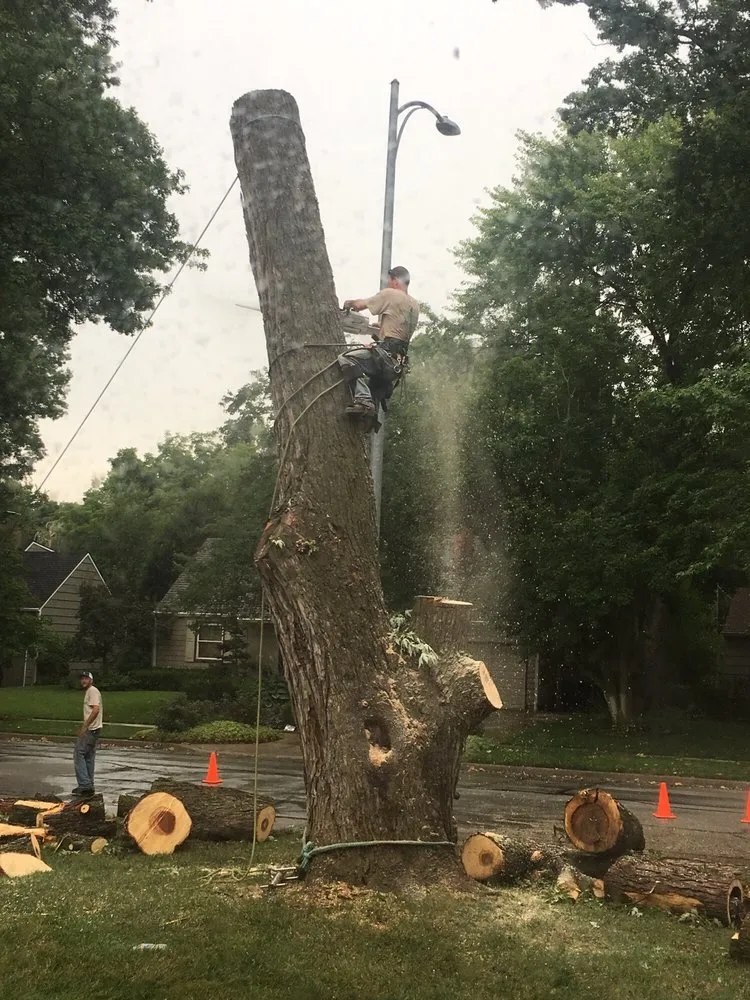 Professional landscape installation with custom design across Grandview, MO - Local Tree & Landscape
