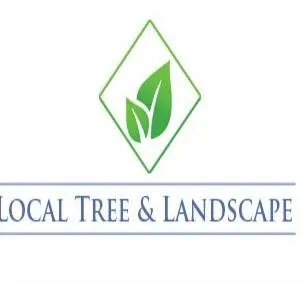 Local yard maintenance in Grandview, MO - Local Tree & Landscape