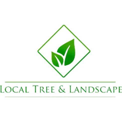 Professional lawn mowing service for residential properties in Grandview, MO by Local Tree & Landscape