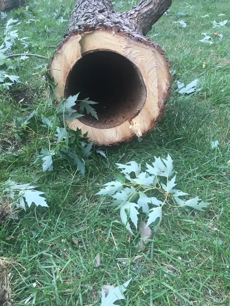 Professional landscape design with custom design across Grandview, MO - Local Tree & Landscape