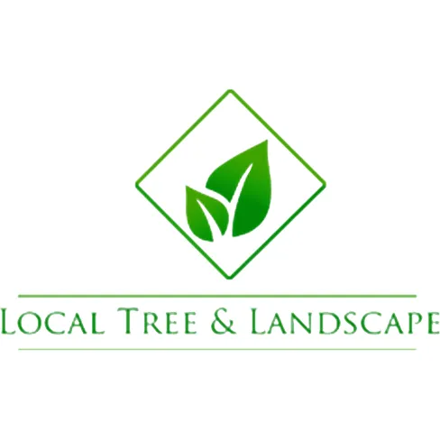 Custom yard cleanup service for residential properties across Grandview, MO - Local Tree & Landscape