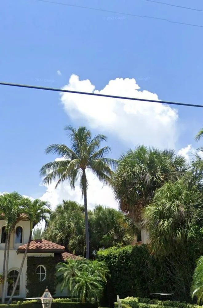 Local outdoor landscaping in Jupiter, FL - Local Tree Cutting Services