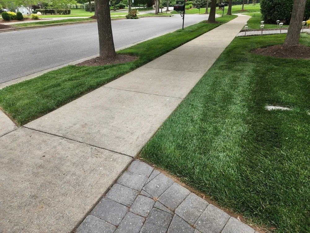 Affordable yard maintenance experts serving Tullahoma, TN - Local Turf Pros