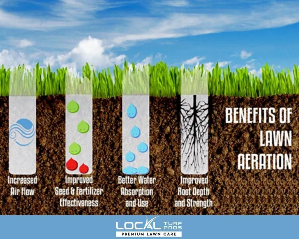 Top-rated residential landscaping in Tullahoma, TN by Local Turf Pros