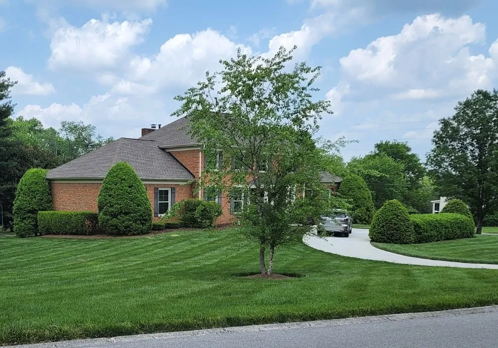 Professional landscape design experts serving Tullahoma, TN - Local Turf Pros