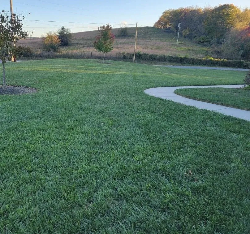 Custom landscape installation for outdoor upgrades in Tullahoma, TN by Local Turf Pros