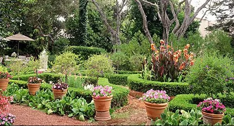 Reliable outdoor landscaping in Santa Cruz, CA by Locatelli's Landscaping