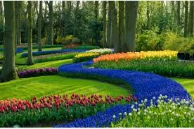 Trusted outdoor landscaping in Santa Cruz, CA by Locatelli's Landscaping