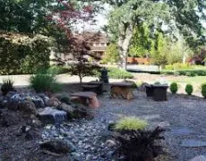 Affordable yard cleanup service experts serving Santa Cruz, CA - Locatelli's Landscaping