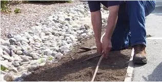 Custom yard cleanup service in Santa Cruz, CA by Locatelli's Landscaping