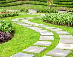 Top-rated yard maintenance in Santa Cruz, CA by Locatelli's Landscaping