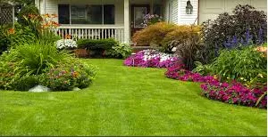 Top-rated yard cleanup service in Santa Cruz, CA - Locatelli's Landscaping