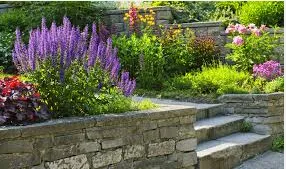Expert residential landscaping in Santa Cruz, CA by Locatelli's Landscaping