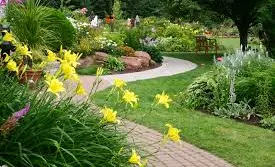 Trusted lawn care service near you in Santa Cruz, CA by Locatelli's Landscaping