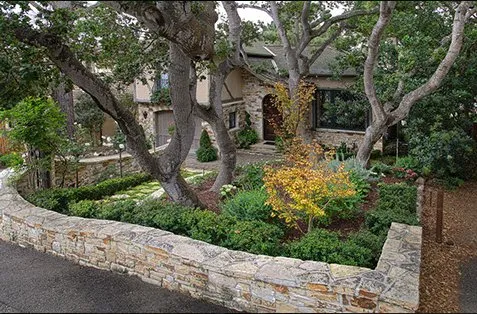 Top-rated yard cleanup service in Santa Cruz, CA - Locatelli's Landscaping