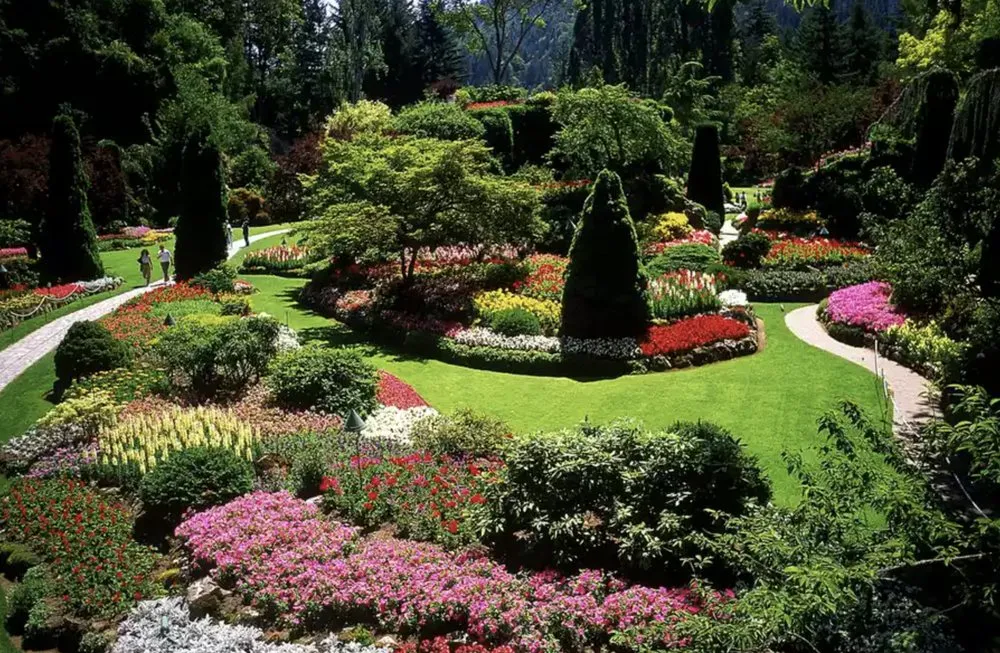 Professional landscape installation for outdoor upgrades across Wright City, MO - Lochness Landscaping