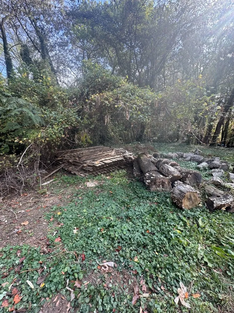 Professional garden landscaping in Acworth, GA by Lock N Load Hauling and Junk Removal