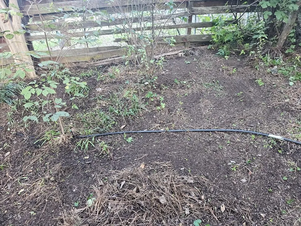 Expert lawn mowing service in Bossier City, LA - Lockdown Lawns