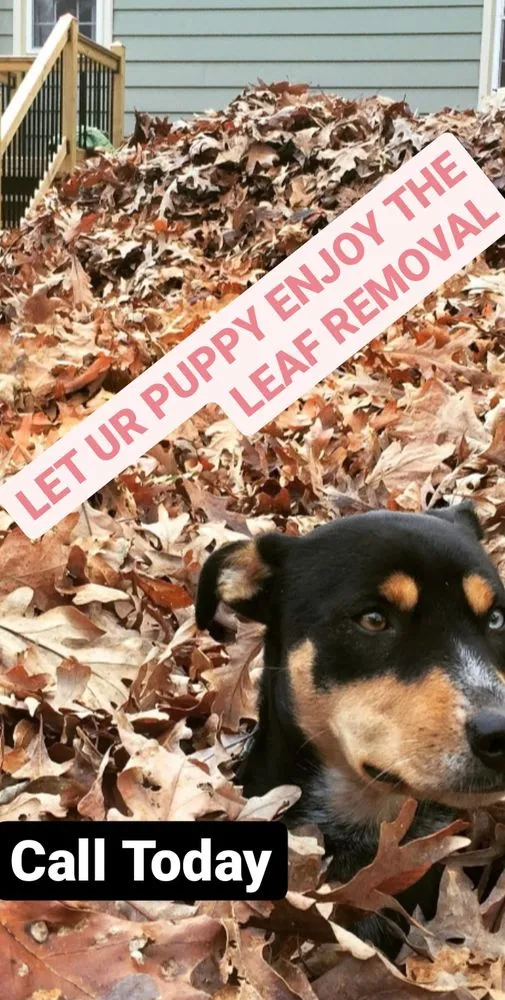 Affordable outdoor landscaping in Bossier City, LA by Lockdown Lawns