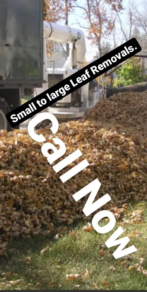 Trusted outdoor landscaping experts serving Bossier City, LA - Lockdown Lawns