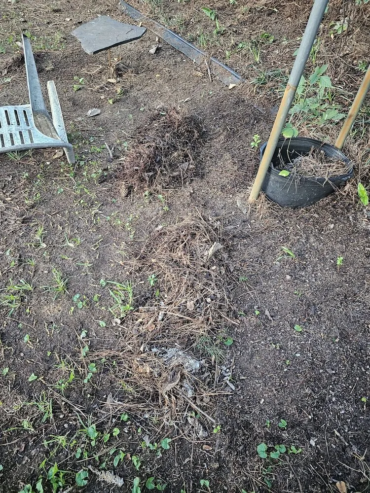 Top-rated yard cleanup service in Bossier City, LA by Lockdown Lawns