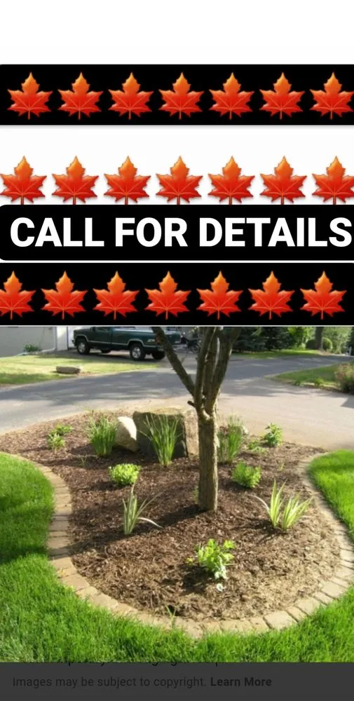 Affordable yard cleanup service in Bossier City, LA by Lockdown Lawns