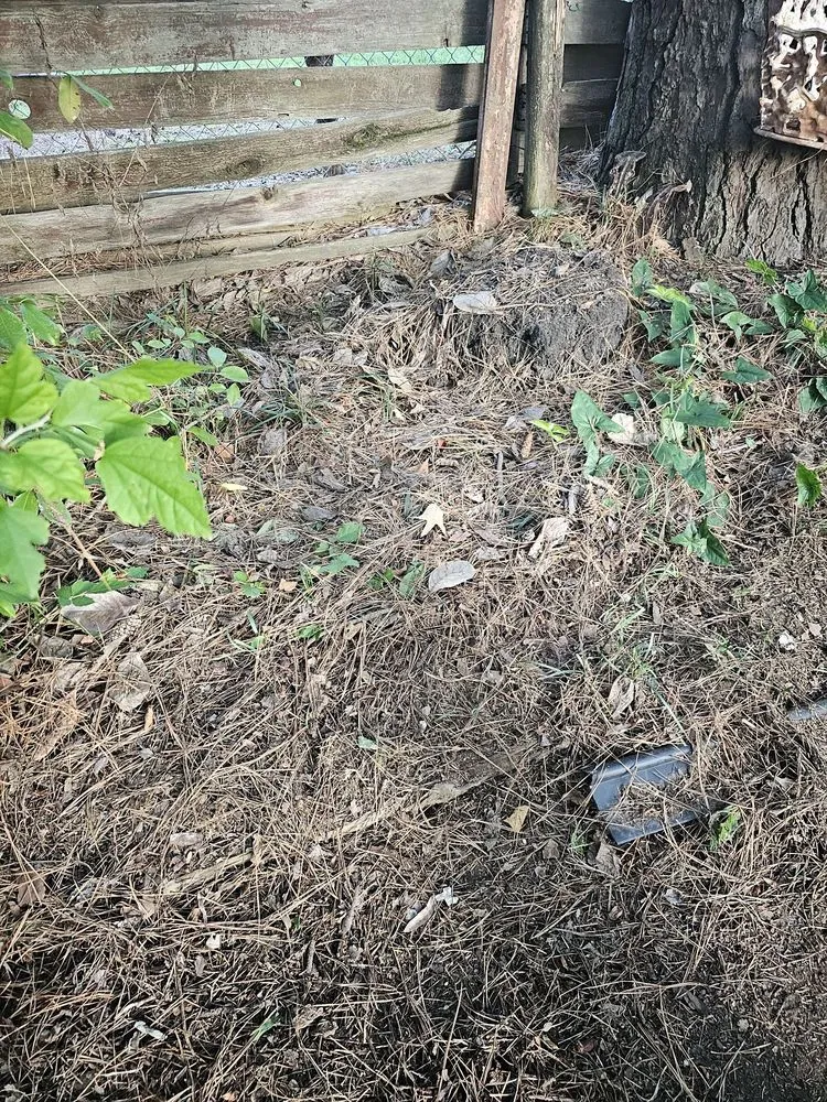 Top-rated outdoor landscaping for year-round maintenance in Bossier City, LA by Lockdown Lawns