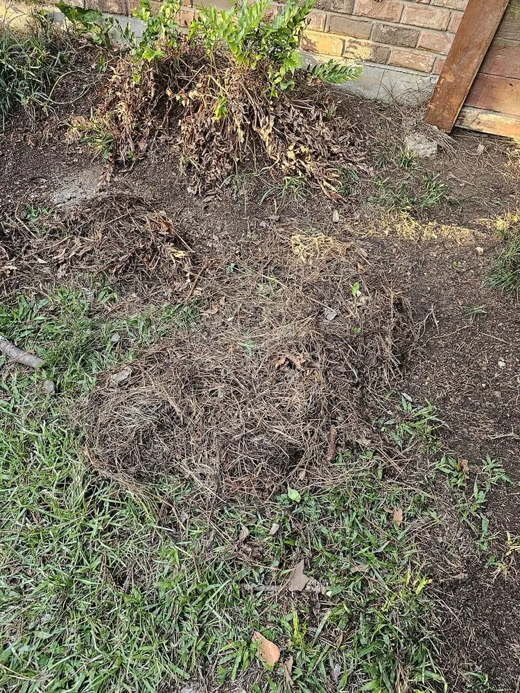 Affordable residential landscaping in Bossier City, LA by Lockdown Lawns