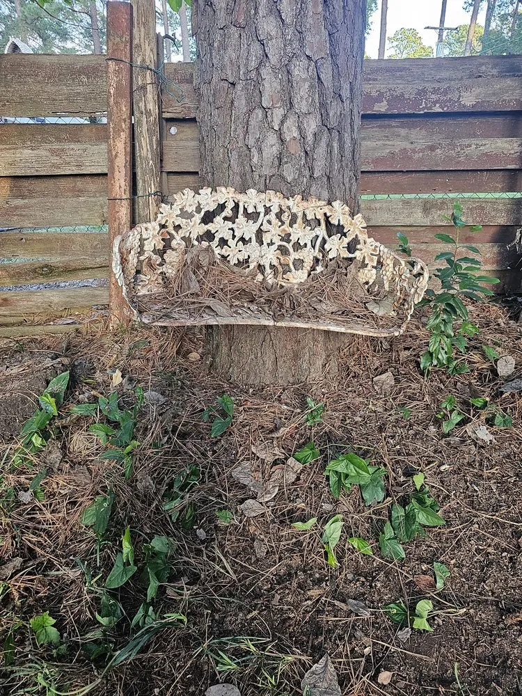 Reliable lawn care service for homes in Bossier City, LA by Lockdown Lawns