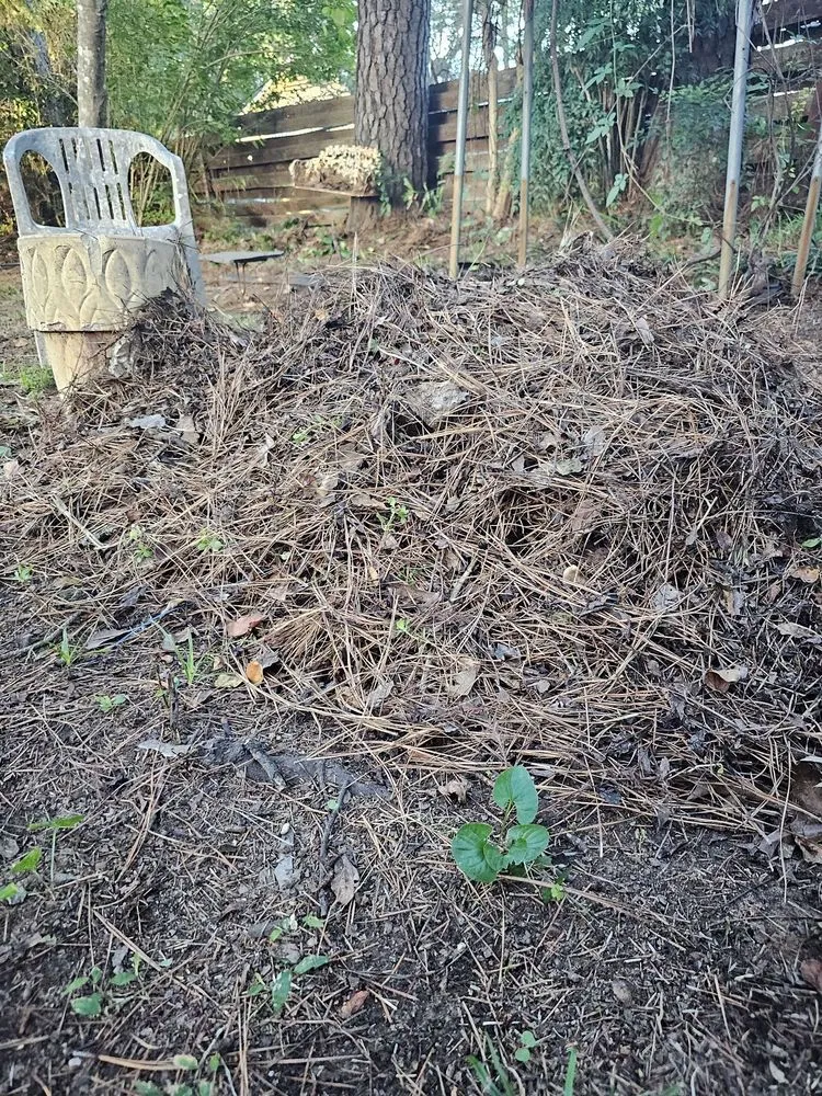 Professional residential landscaping in Bossier City, LA - Lockdown Lawns