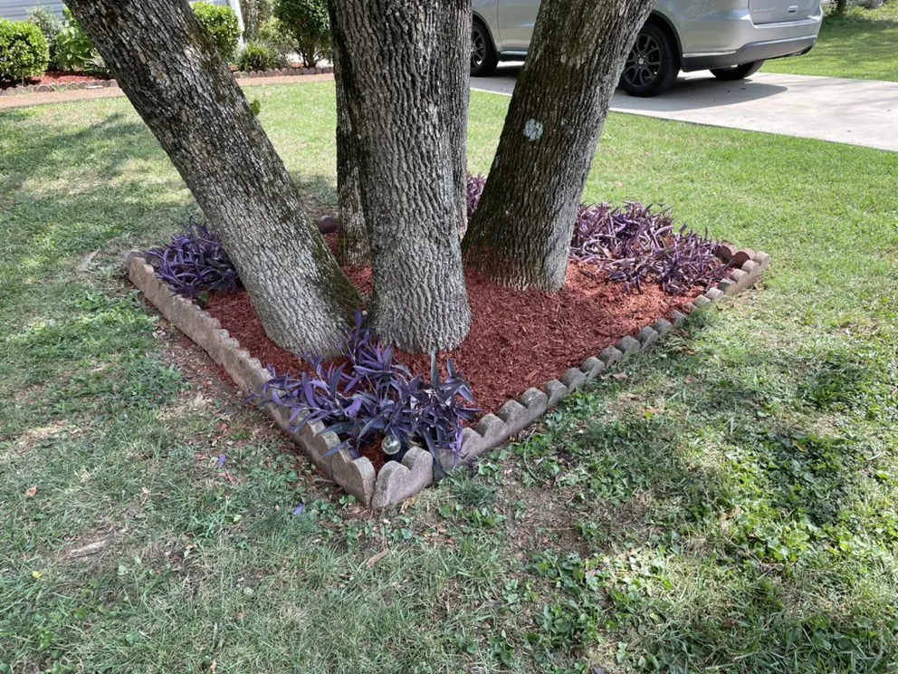 Affordable lawn mowing service in Lebanon, TN - Lockert Lawn Maintenance