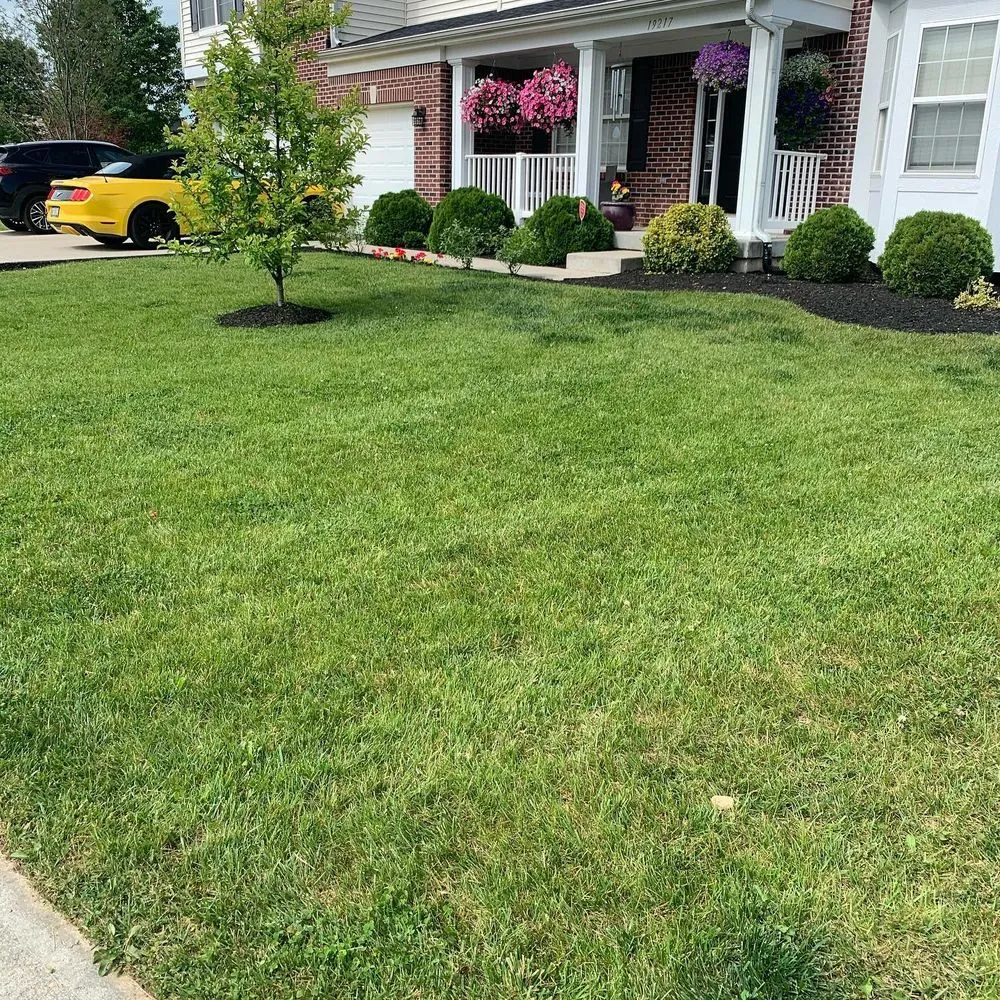 Affordable lawn care service for residential properties in Lawrence Township, IN by Lockert’s Lawn Care