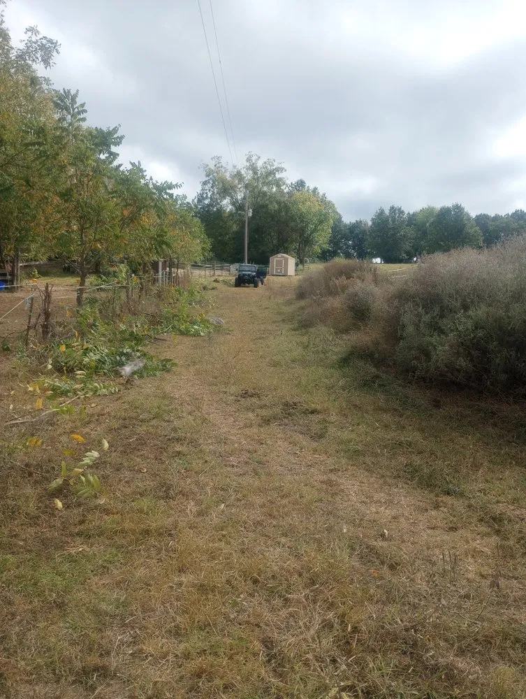 Professional lawn care service in Springfield, MO - Locke's Lawn & Tree