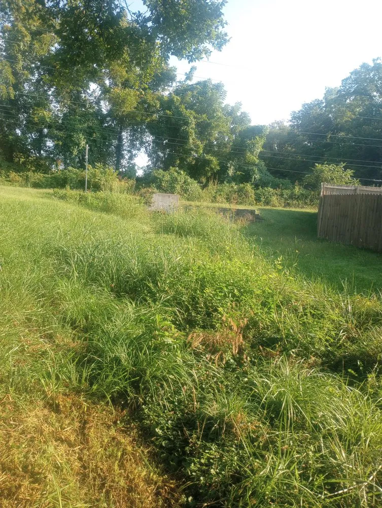 Expert outdoor landscaping in Springfield, MO - Locke's Lawn & Tree