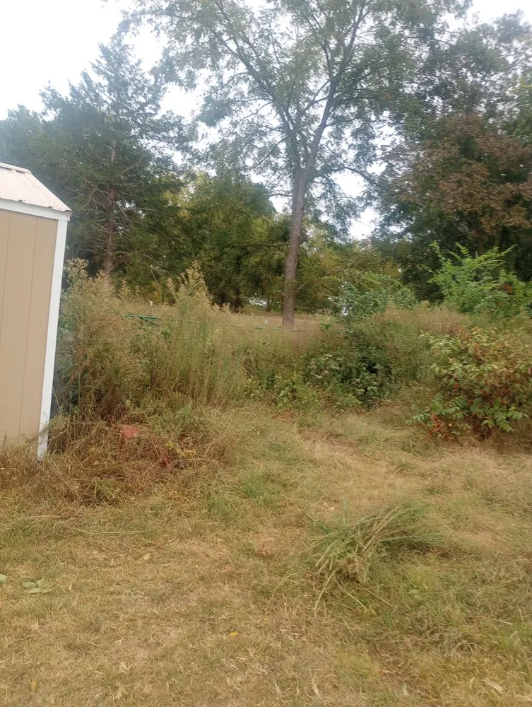 Trusted yard cleanup service with custom design across Springfield, MO - Locke's Lawn & Tree