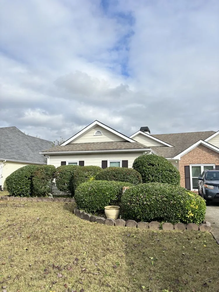 Professional yard cleanup service in McDonough, GA by Locke’s Lawn Recovery