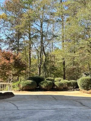 Locke’s Lawn Recovery Logo