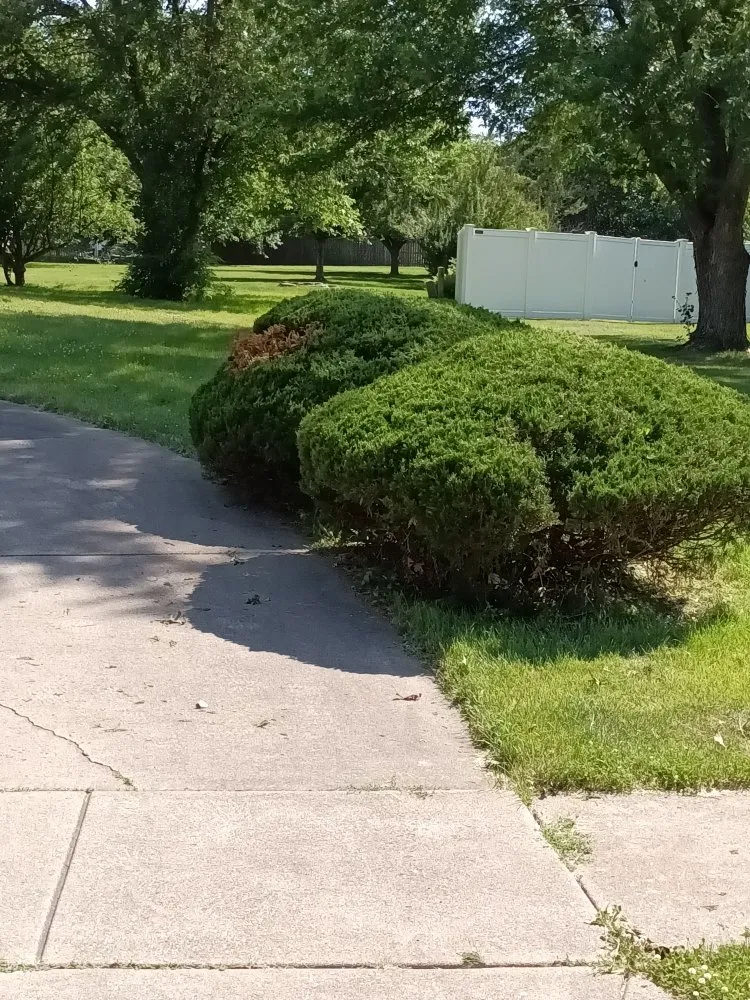 Local garden landscaping experts serving Davenport, IA - Lockett Lawn Care and Landscaping