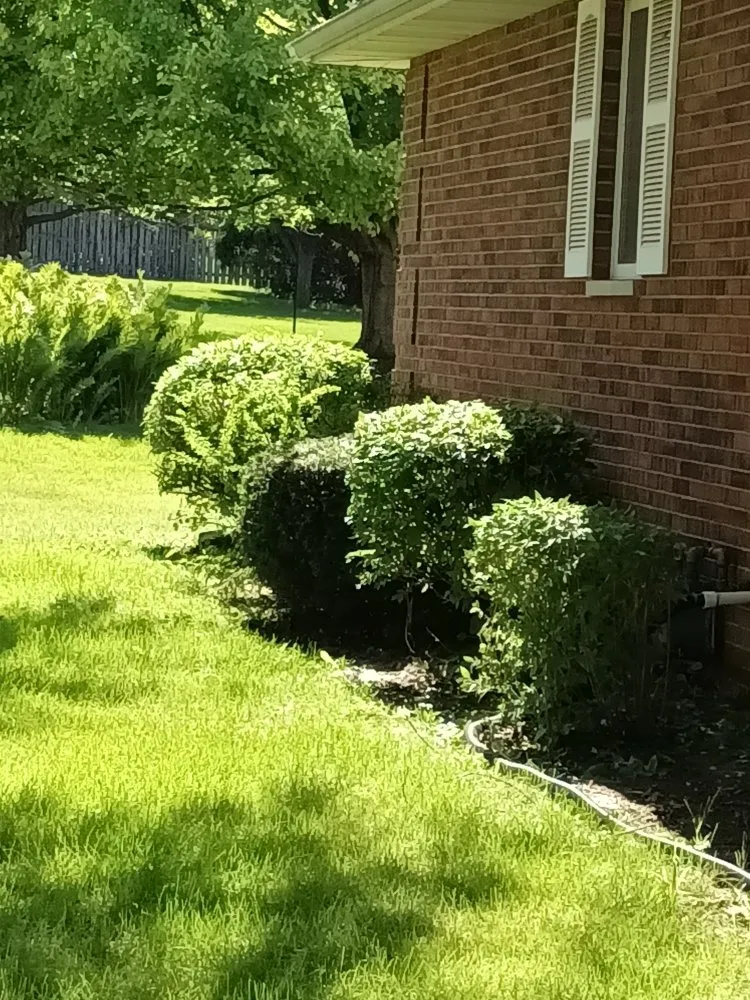 Expert lawn care service for residential properties in Davenport, IA by Lockett Lawn Care and Landscaping