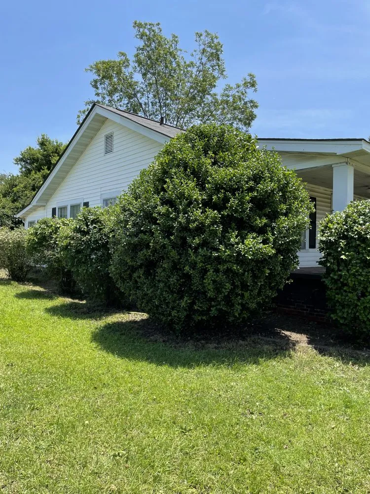 Affordable residential landscaping in Brookwood, AL by Lockhart Lawn Ranger