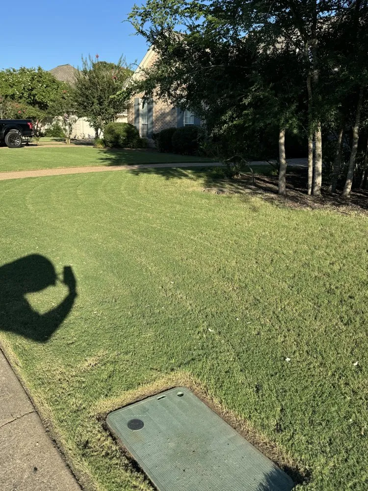 Professional yard cleanup service in Park Row, TX - Lockhart Lawn Service
