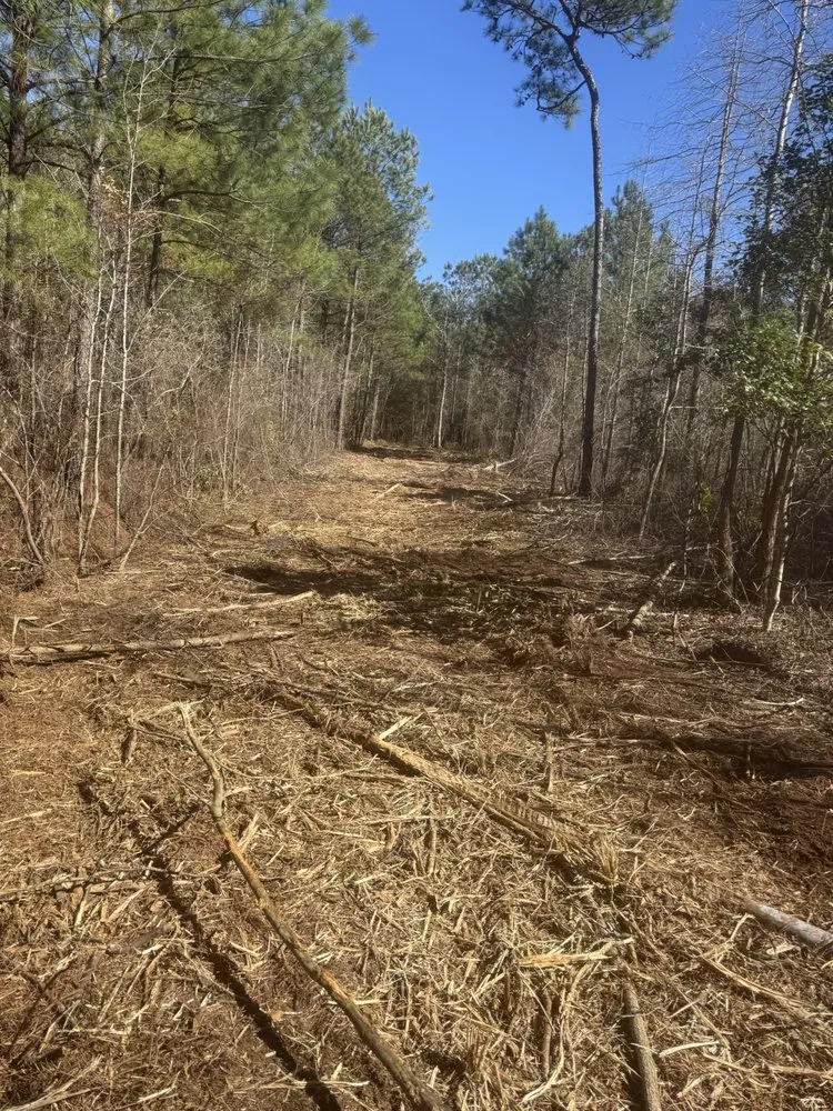 Expert landscaping services in Darlington, SC by Locklair Property Management