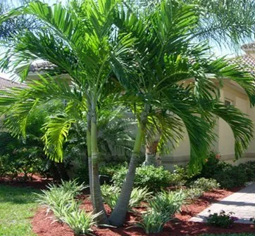 Affordable residential landscaping experts serving Daytona Beach, FL - Locklear Landscaping