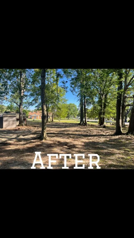 Trusted lawn care service in McColl, SC - Locklear’s Landscaping & Much More