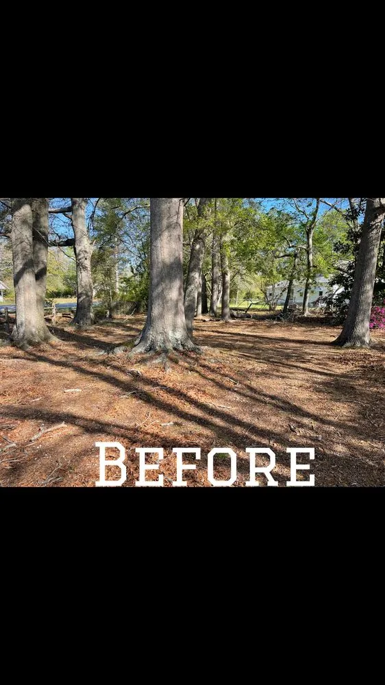 Expert residential landscaping for year-round maintenance in McColl, SC by Locklear’s Landscaping & Much More