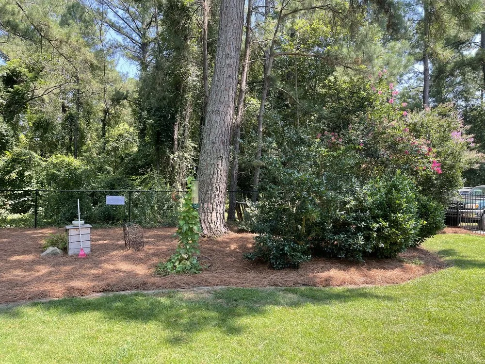 Local outdoor landscaping for beautiful yards across McColl, SC - Locklear’s Landscaping & Much More