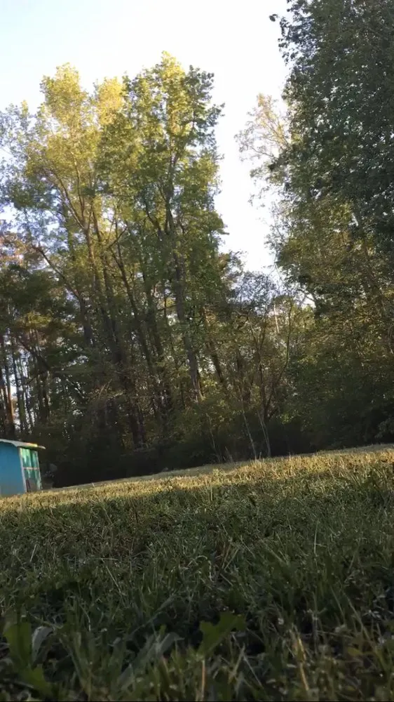 Expert lawn care service in Lumberton, NC by Locklears Lawn Care