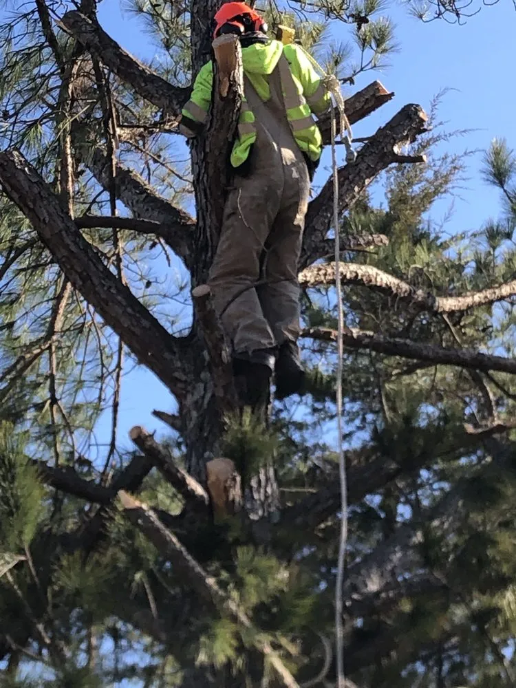 Expert landscaping services for outdoor upgrades in Hope Mills, NC by Locklears lot Clearing