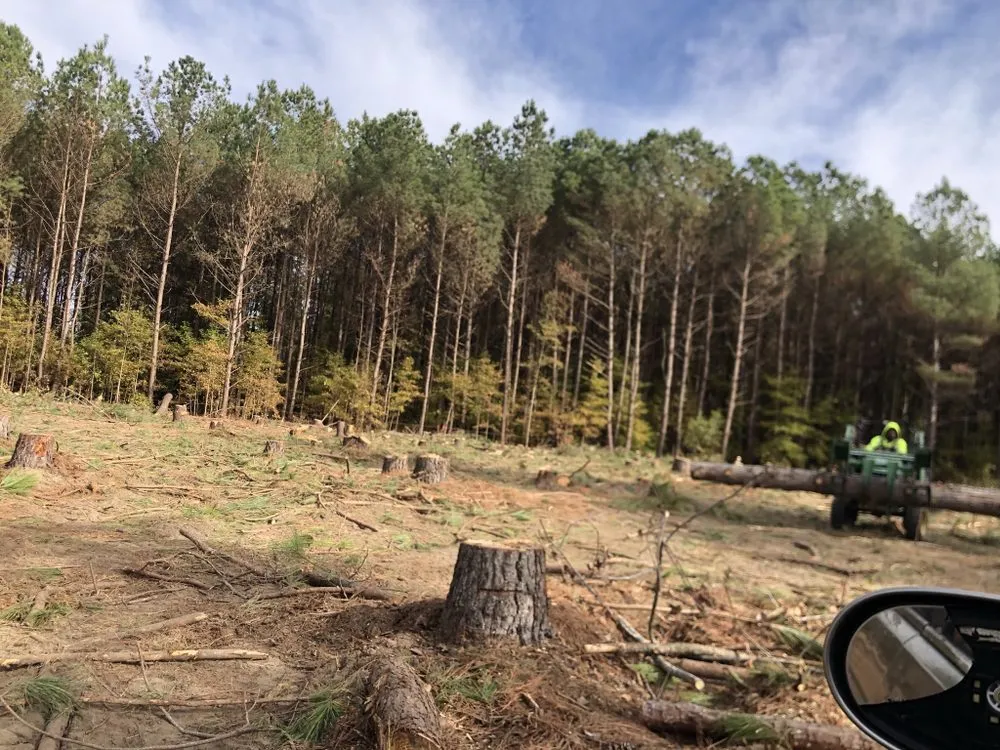 Top-rated yard maintenance for year-round maintenance in Hope Mills, NC by Locklears lot Clearing